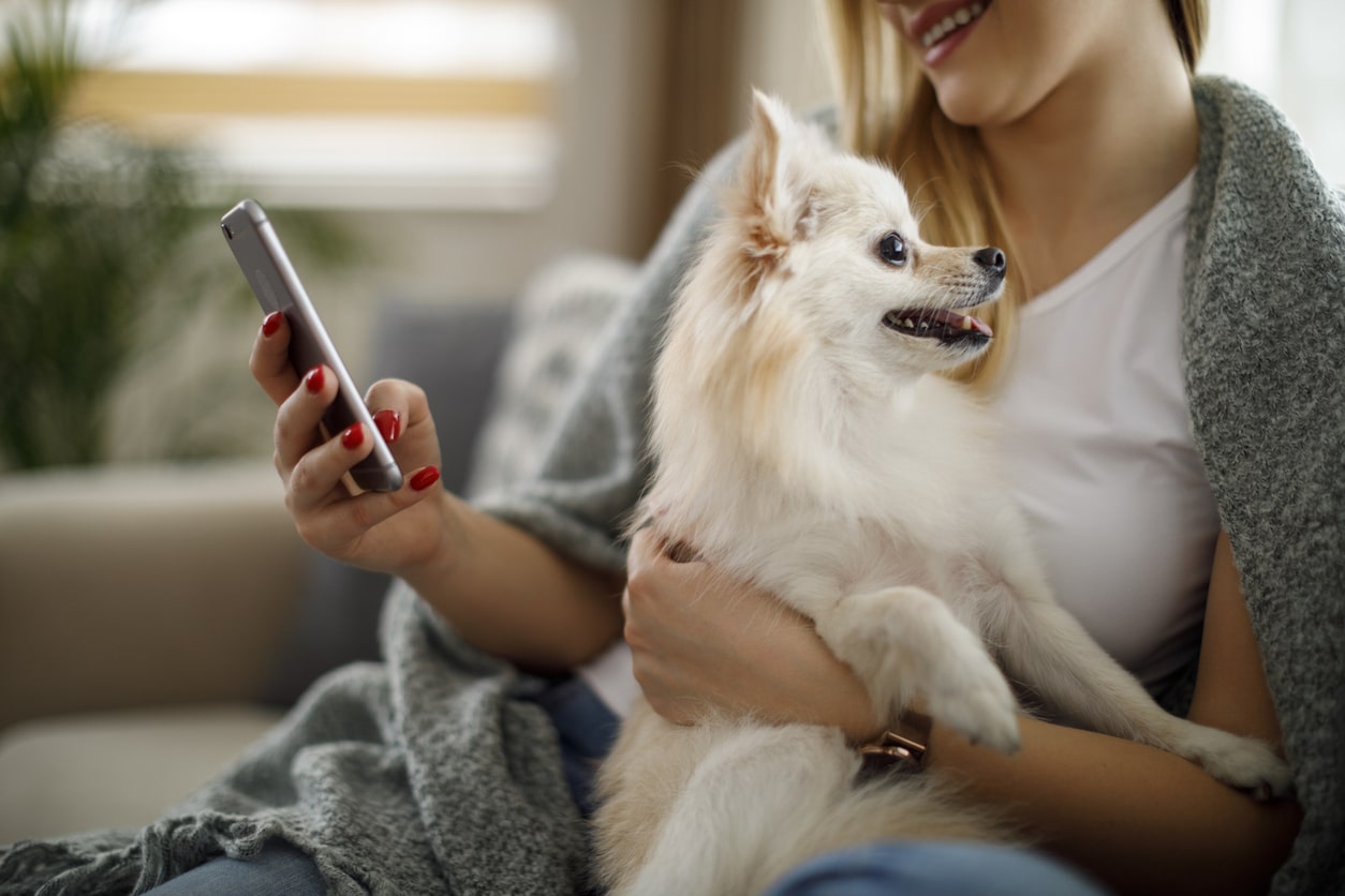 remboursement application mobile assurance animaux