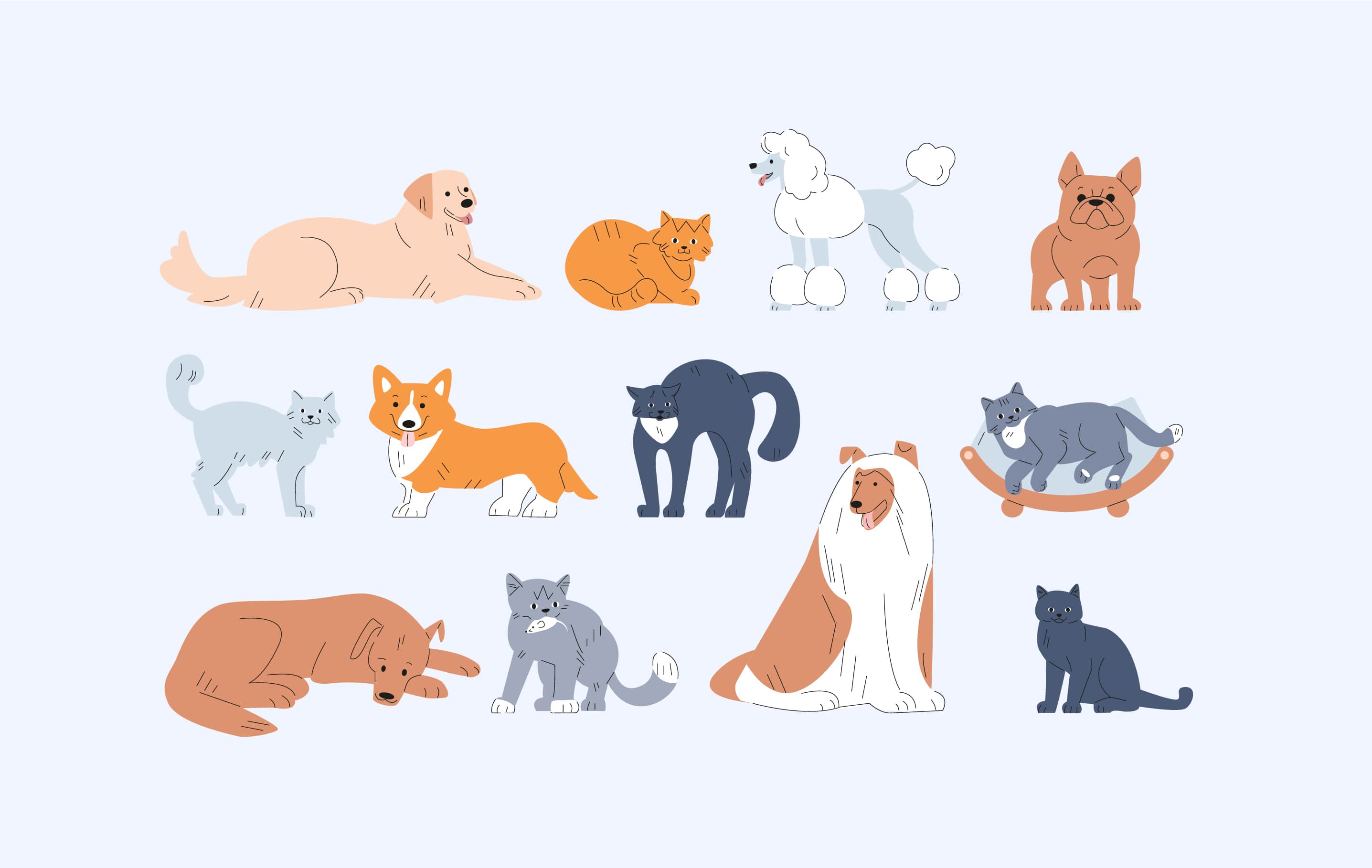 avis client mutuelle animale