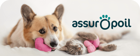 partenaire Assur O'Poil