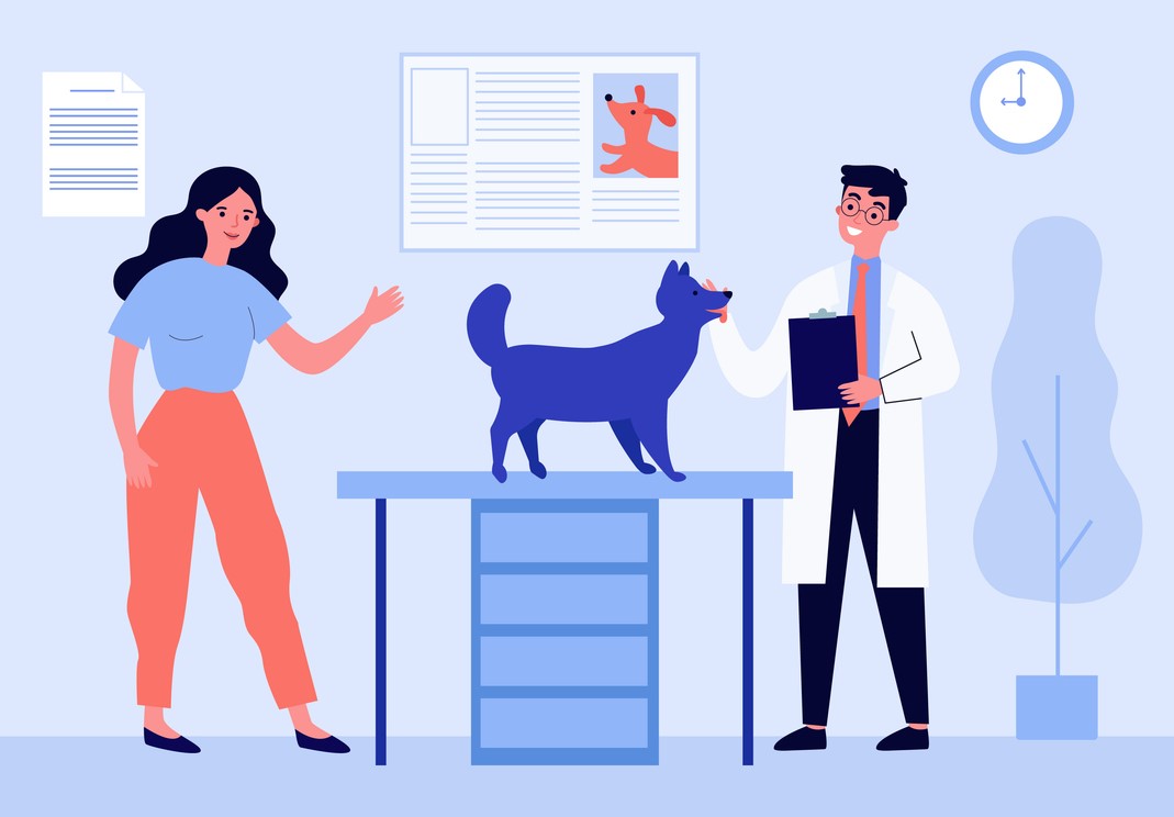 temoignage assurance sante animaux